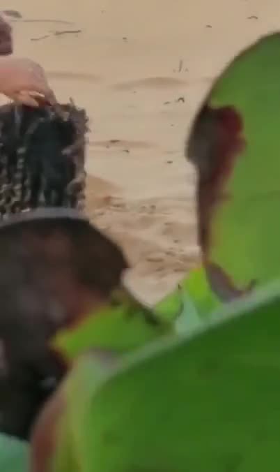 Deux filles filmées en train de se brouter le minou sur une plage