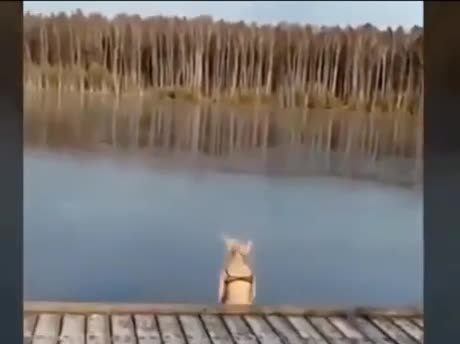 Une blonde saute dans un lac