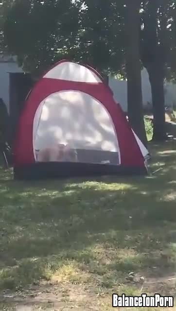 Ils baisent dans une tente, sous le regard des passants