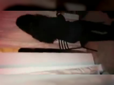 Elle suce deux queues pendant une soirée