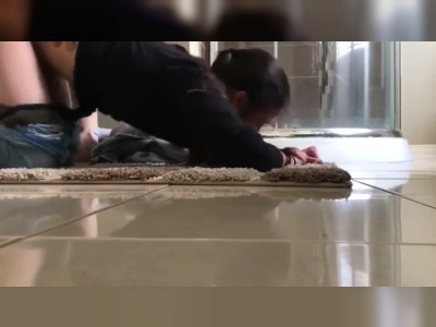 Brunette se fait déchirer dans la salle de bain