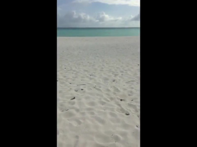 Prise en levrette sur une plage