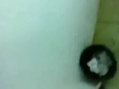 Ce qu'il se passe vraiment dans les toilettes des filles (compilation)